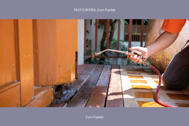 PEST CONTROL Zuni Pueblo